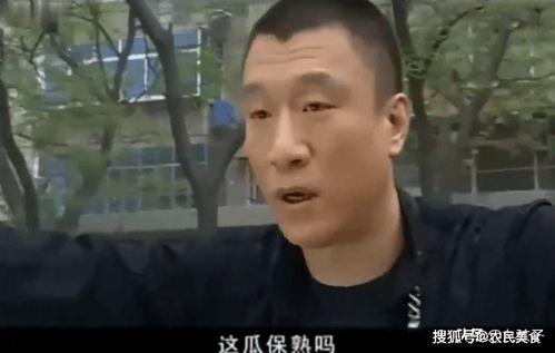 刘华强吃瓜原版视频下载,揭秘幕后真相，带你领略网络红人的魅力