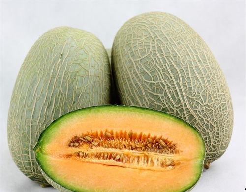 小贤哥吃哈密瓜视频大全,视频大全带你领略甜蜜滋味