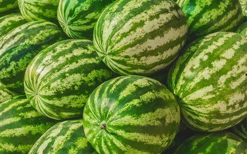 马预预吃瓜视频,揭秘娱乐圈幕后故事