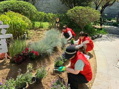 莱芜公园吃瓜事件视频最新,视频曝光引发网友热议，真相究竟如何？