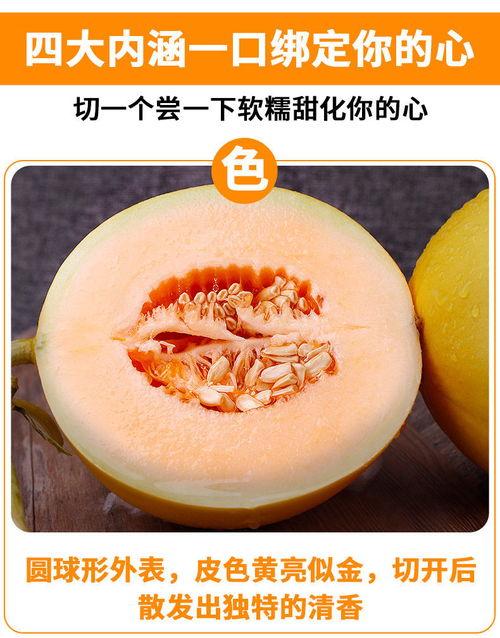 吃陕西黄河蜜瓜视频,陕西特色美食之旅