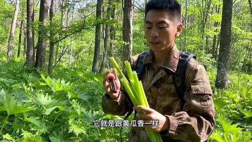 二达子吃瓜视频,揭秘娱乐圈幕后故事