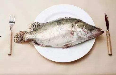 糟瓜鱼小朋友可以吃吗视频