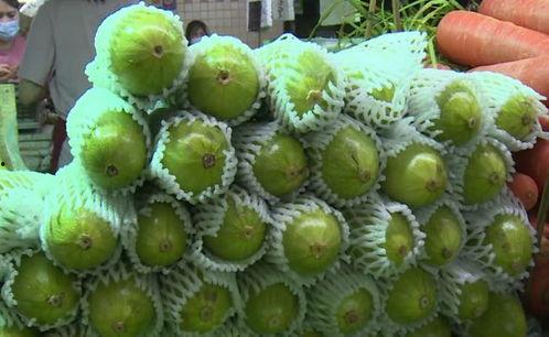 直播吃葫芦瓜视频大全集,葫芦瓜美食大赏视频全集回顾