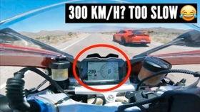 兰博吃瓜视频大全最新,盘点娱乐圈最新热点事件