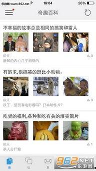 吃瓜奇趣百科视频在线观看,在线观看带你领略趣味知识盛宴